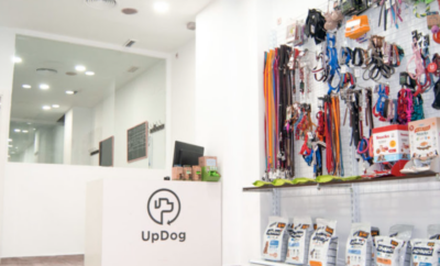 UPDOG Goya | Guardería para perros y Residencia canina